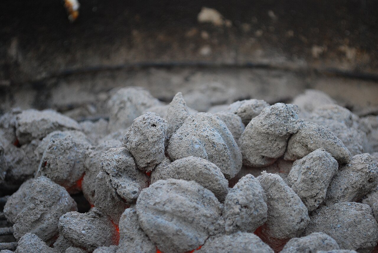 Carbón vegetal, briquetas o leña: cuál usar en la parrilla y por qué